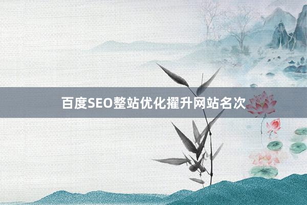 百度SEO整站优化擢升网站名次